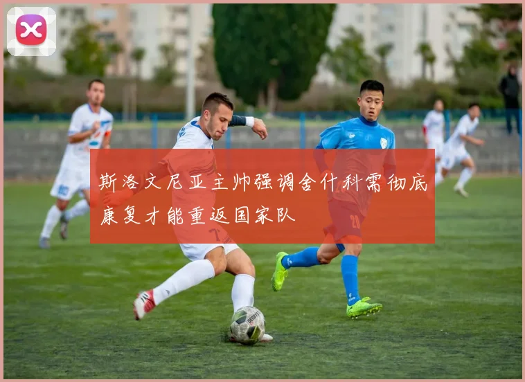 斯洛文尼亚主帅强调舍什科需彻底康复才能重返国家队