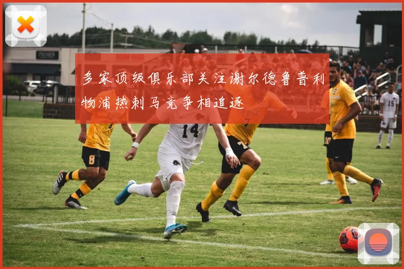 多家顶级俱乐部关注谢尔德鲁普利物浦热刺马竞争相追逐
